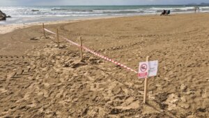 Cierre playa Alboraya